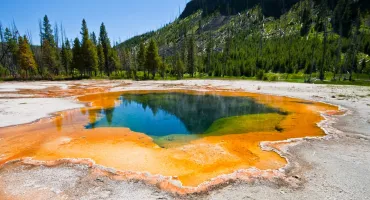 Yellowstone Geyser and Geology Tour