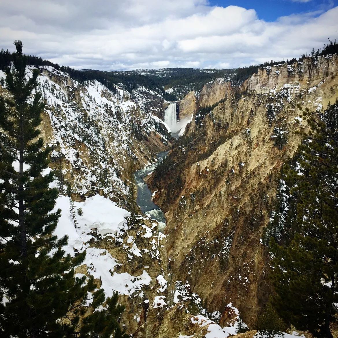 Lower Falls of the Yellowstone Lower Falls of the Yellowstone
