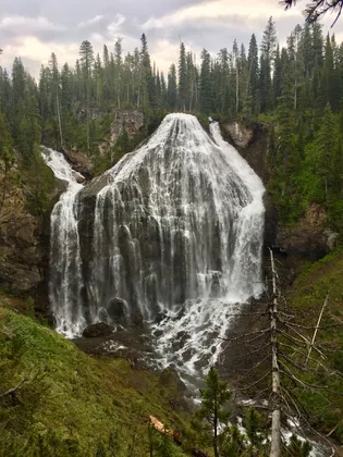 Union Falls in YNP Union Falls in Yellowstone