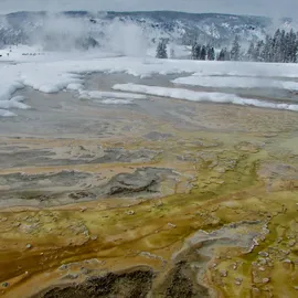 Exploring Yellowstone National Park in the Winter