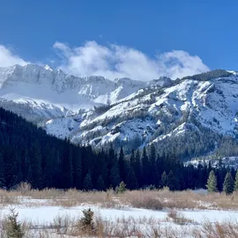 Yellowstone In Winter - Twice As Wild
