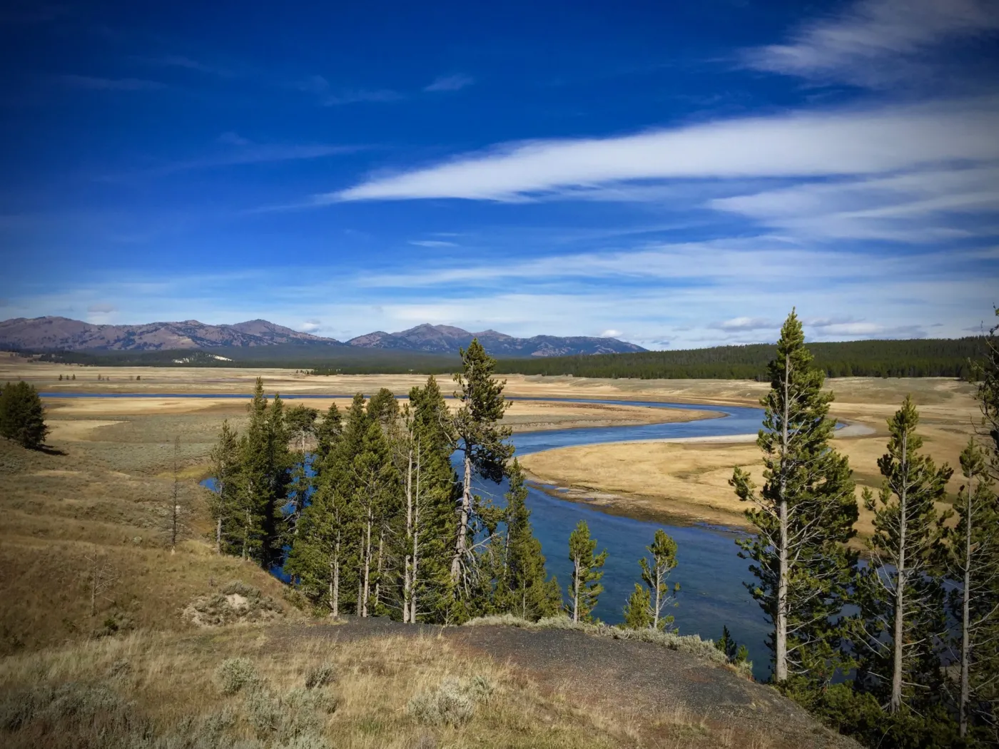 Hayden valley clearance hikes