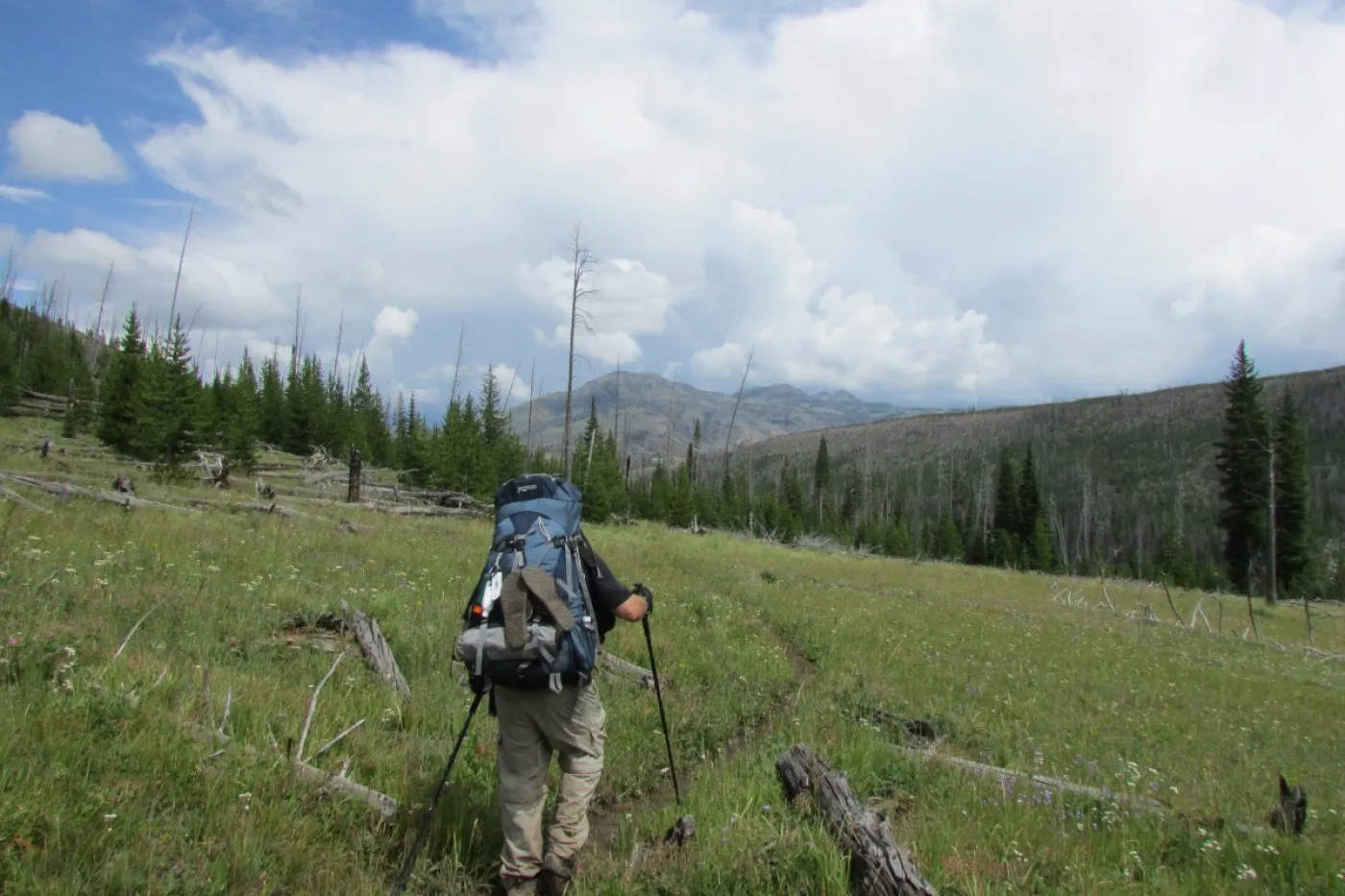 Pelican valley hotsell trail yellowstone