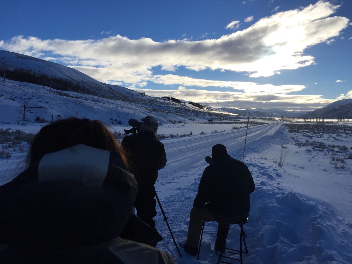 https://www.yellowstoneguidelines.com/media2/images/1400/pic-of-the-week/cphynpwolfwatching-.jpg