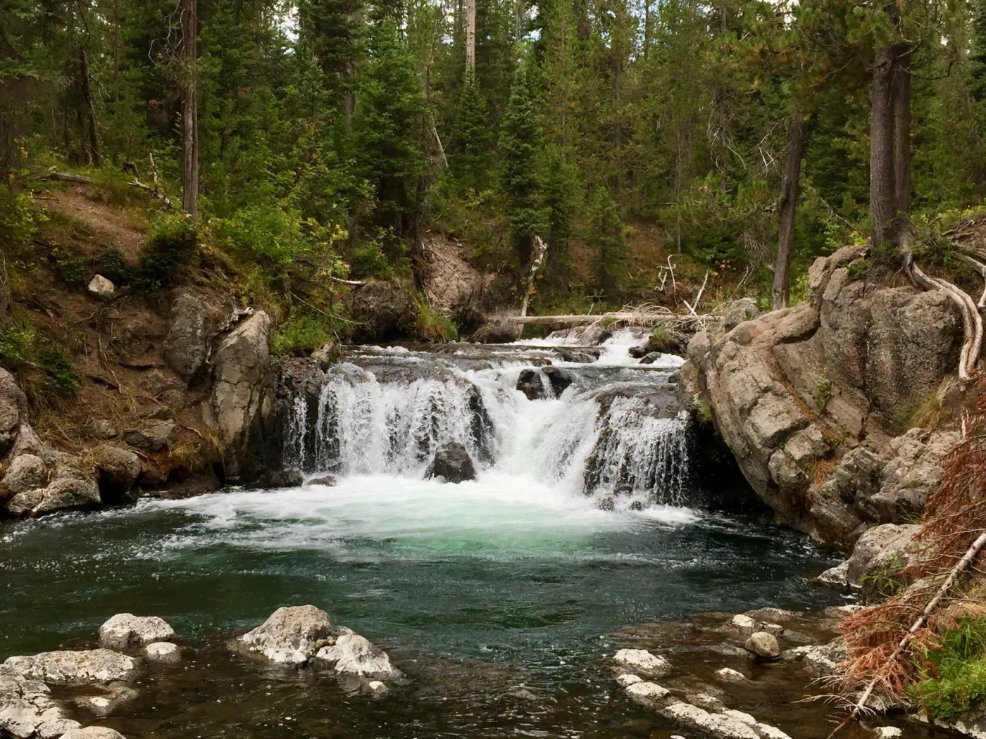 Hiking Union Falls in Yellowstone National Park