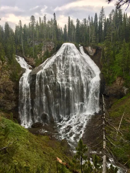 Union shop falls hike