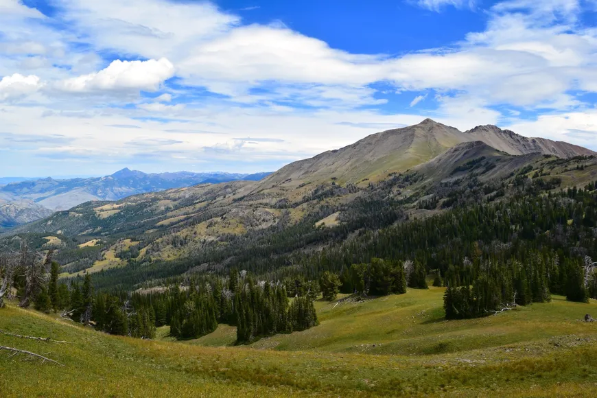Mountain Peaks of  Yellowstone 