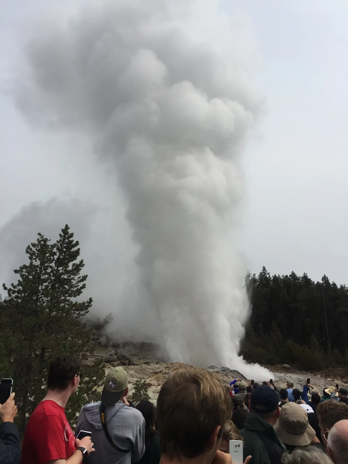 Steamboat Geyser in Yellowstone
